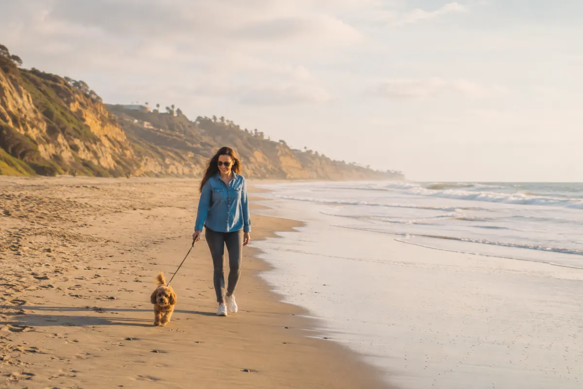 A generic sandy Pacific cove beach below cliffs with a person and a leashed dog.
