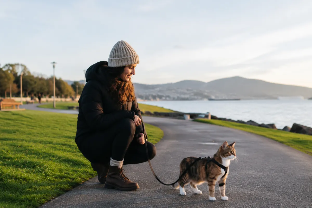 A generic calm grassy urban waterfront with paved paths and a person beside a small harnessed cat.