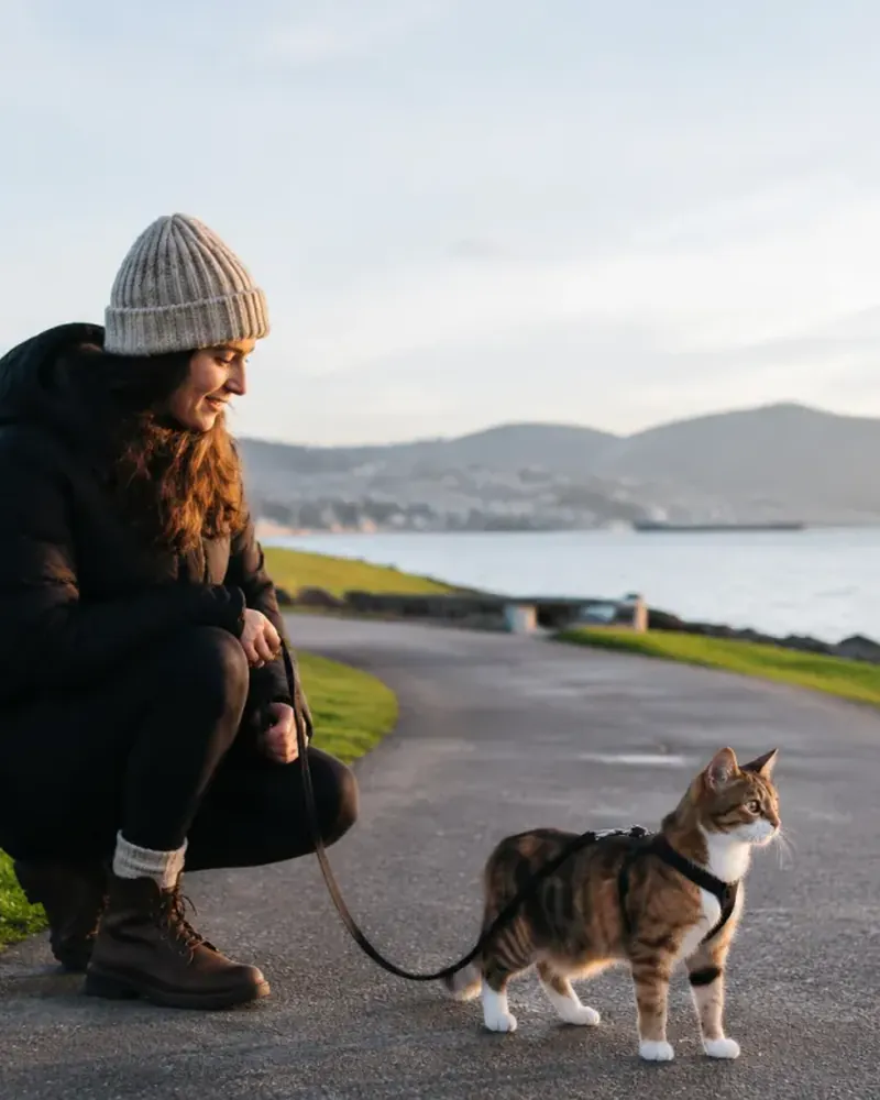 Someone crouching beside a cat in a harness on a waterfront path