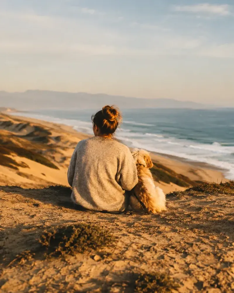 Someone sitting with their dog on a dune above the sea at sunset