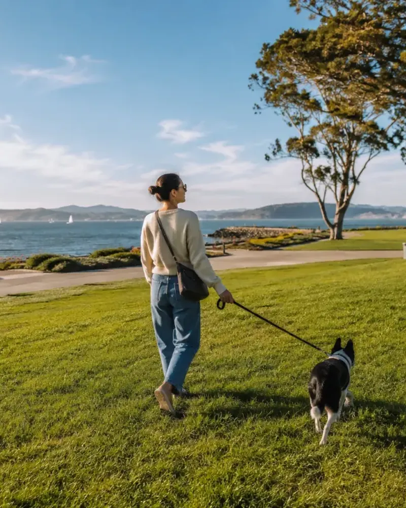 Someone crossing a park lawn with a dog, the bay behind them