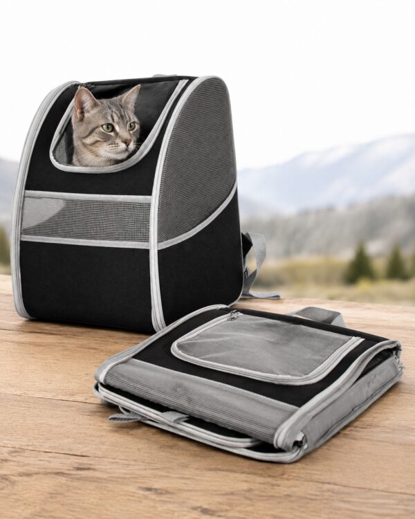 The mesh pet backpack stands beside the same bag folded flat on a rock outdoors.