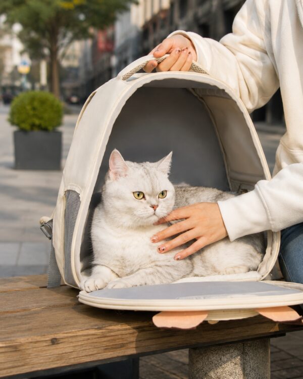 A hand rests on a white cat sitting in the opened cream pet backpack on an outdoor table.