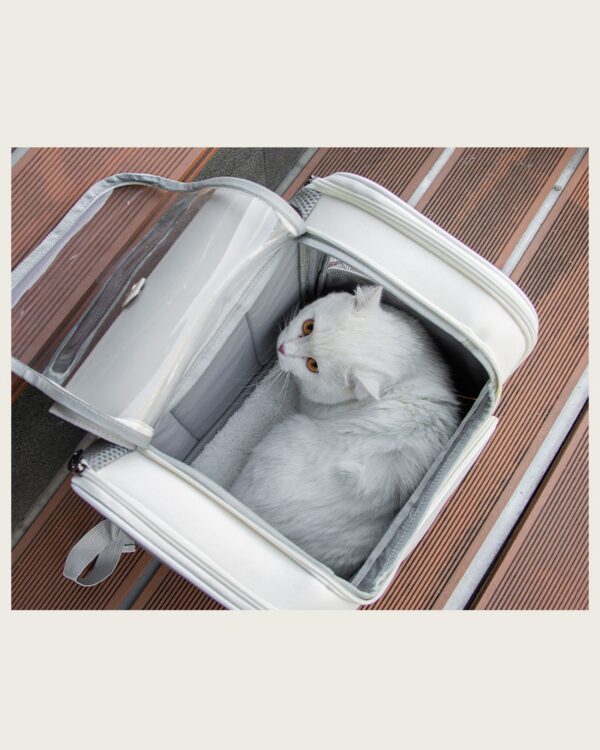 The white pet backpack lies open on a bench with a white cat curled inside.