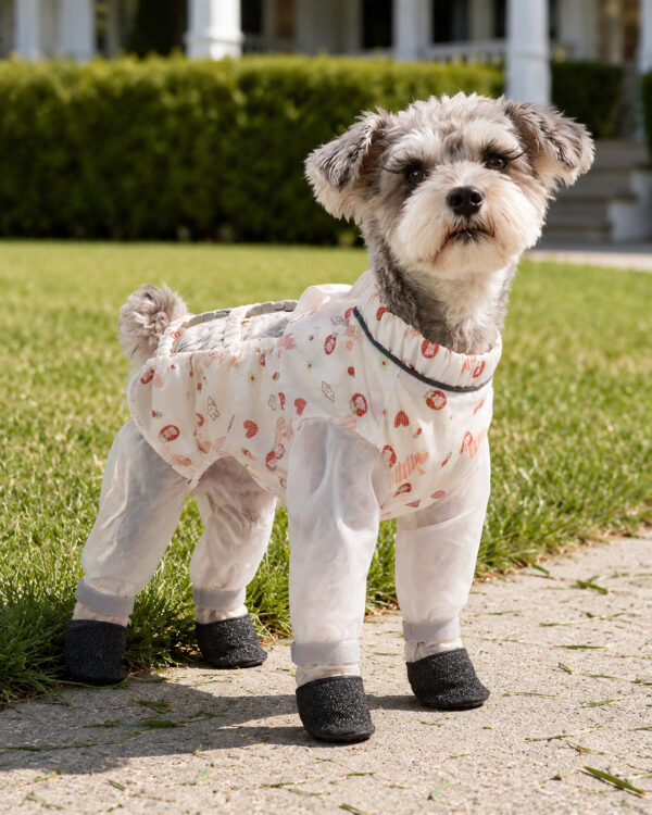 Everyday Paw-Cover Four-Leg Dog Dust Suit