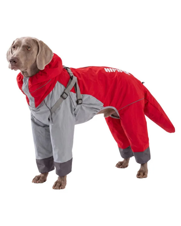 Trail Back-Zip Large-Dog Rain Suit