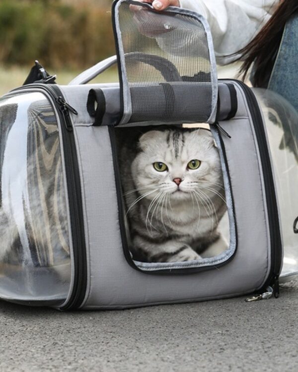 A cat looks out of the front panel of the grey capsule pet carrier.