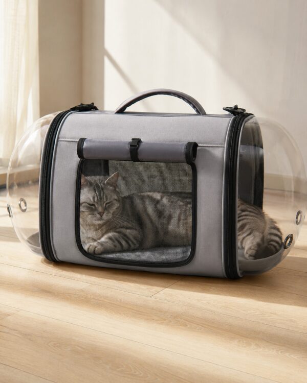 A cat rests inside the grey capsule pet carrier on a wooden floor indoors.