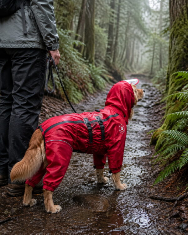 Trail Removable-Tail Large-Dog Rain Suit