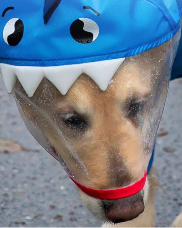 Trail Shark-Hood Large-Dog Rain Suit