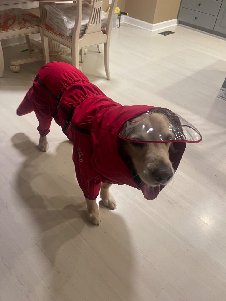 Photo from Craig L.’s review