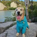 Photo from Laura L.’s review