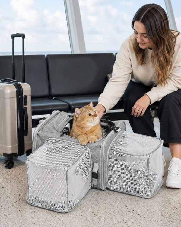 Sky Compact Expandable Mesh Pet Carrier
