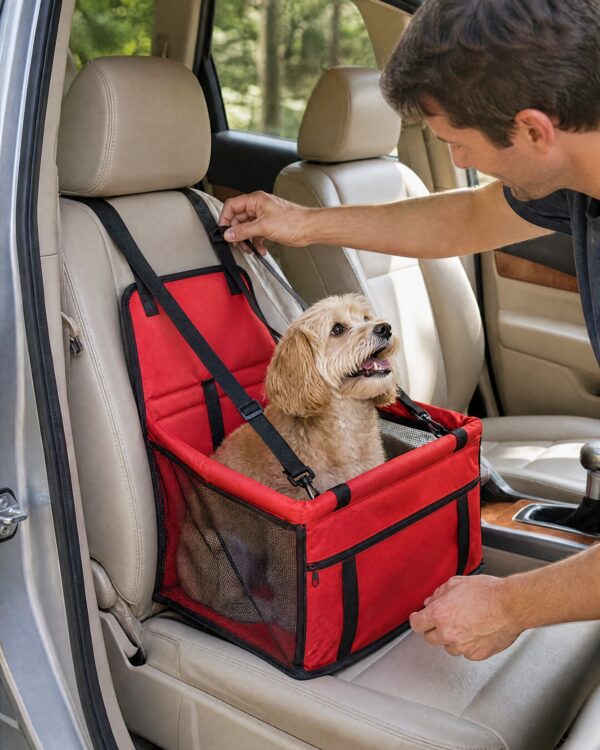 Road Open-Top Dog Car Seat