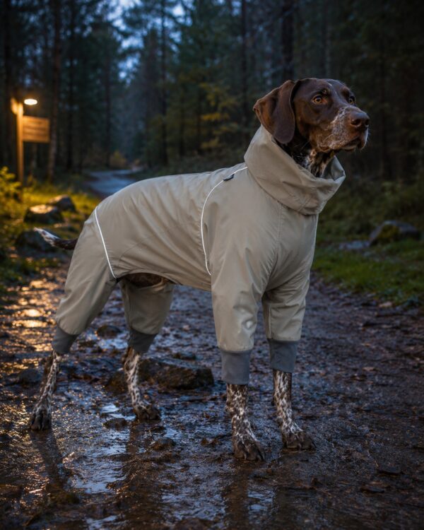 Trail Full-Cover Four-Leg Dog Raincoat