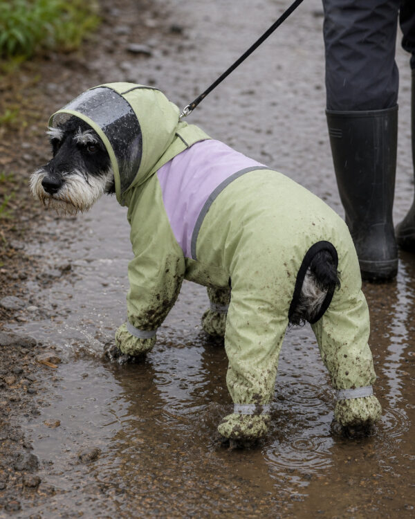 Trail Clear-Visor Full-Cover Dog Rain Suit