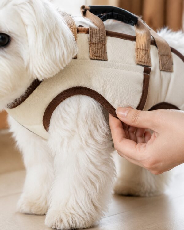 Everyday Four-Leg Lift-and-Go Dog Carrier Vest