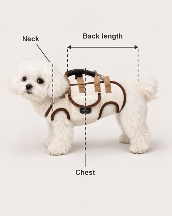 Everyday Four-Leg Lift-and-Go Dog Carrier Vest