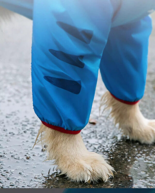 Trail Shark-Hood Large-Dog Rain Suit