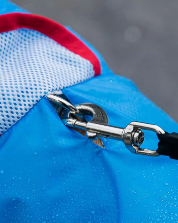 Trail Shark-Hood Large-Dog Rain Suit