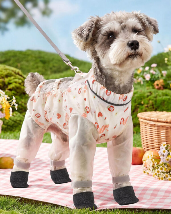Everyday Paw-Cover Four-Leg Dog Dust Suit