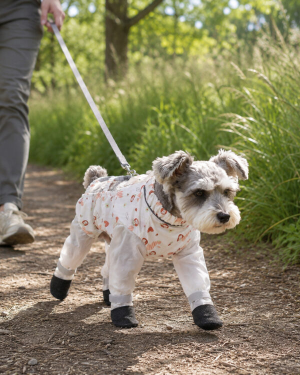 Everyday Paw-Cover Four-Leg Dog Dust Suit