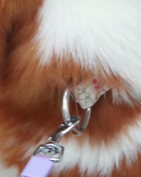 Everyday Touch-Light Retractable Dog Leash