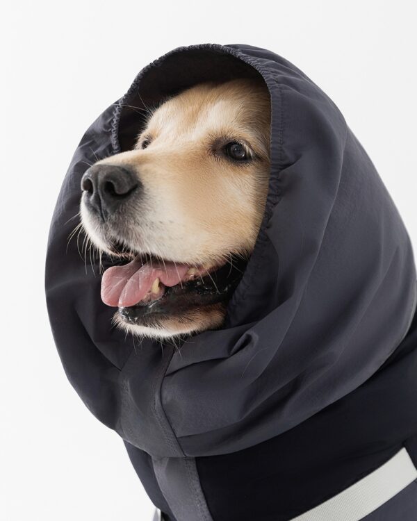Trail Zip-Front Large-Dog Rain Suit