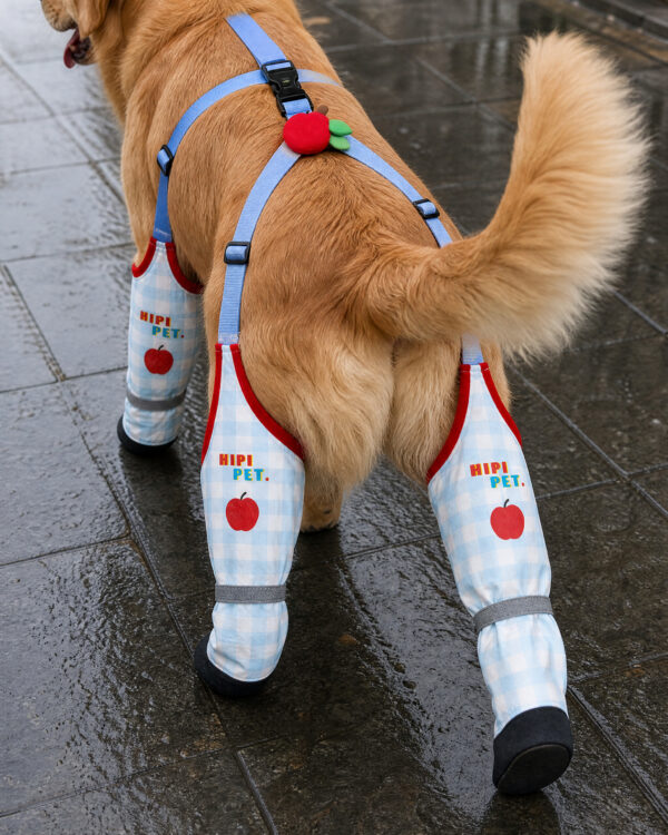 Everyday Suspender-Held Dog Leg-and-Paw Suit