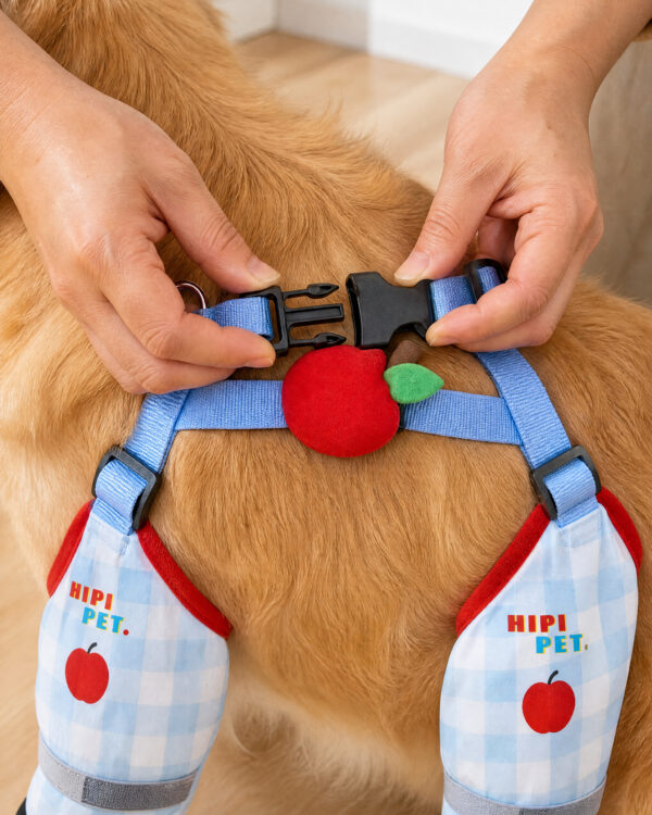 Everyday Suspender-Held Dog Leg-and-Paw Suit
