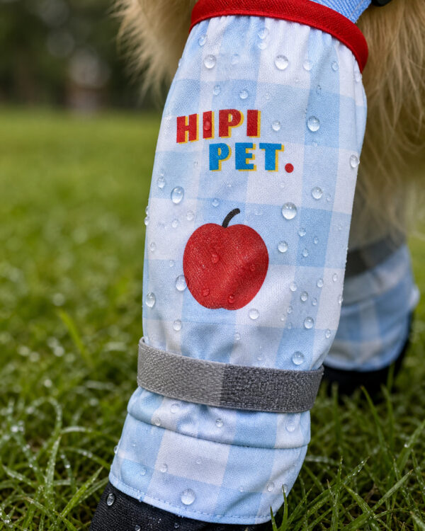 Everyday Suspender-Held Dog Leg-and-Paw Suit
