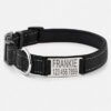 Everyday Slide-On Engraved ID Dog Collar