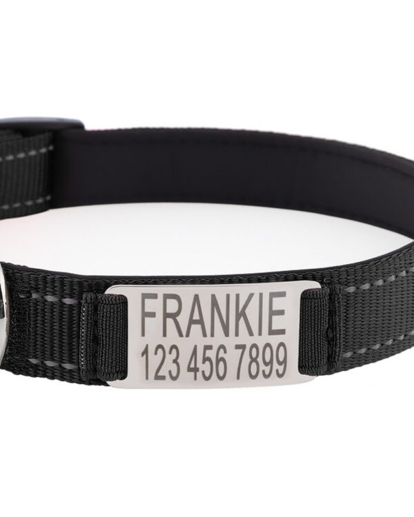 Everyday Slide-On Engraved ID Dog Collar