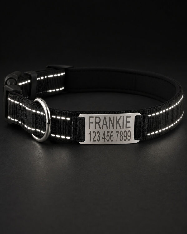 Everyday Slide-On Engraved ID Dog Collar