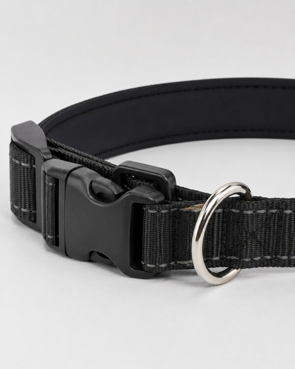 Everyday Slide-On Engraved ID Dog Collar