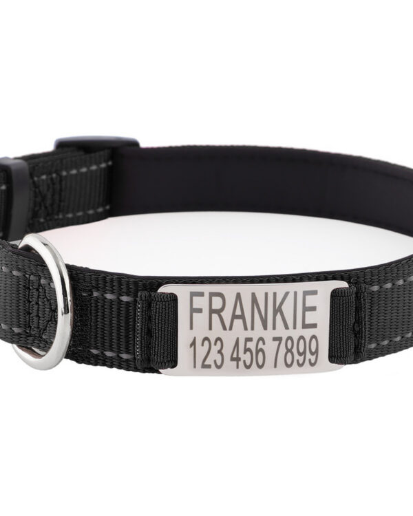 Everyday Slide-On Engraved ID Dog Collar