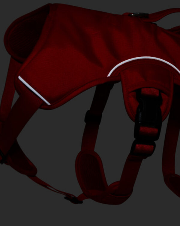 Trail Three-Strap Twin-Handle Dog Harness