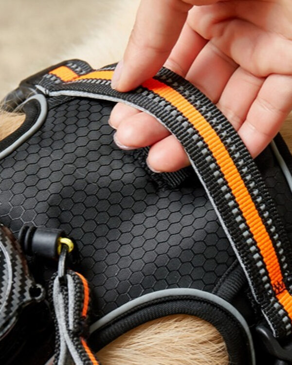 Trail Retractable-Leash Dog Harness