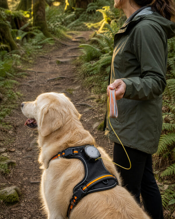 Trail Retractable-Leash Dog Harness