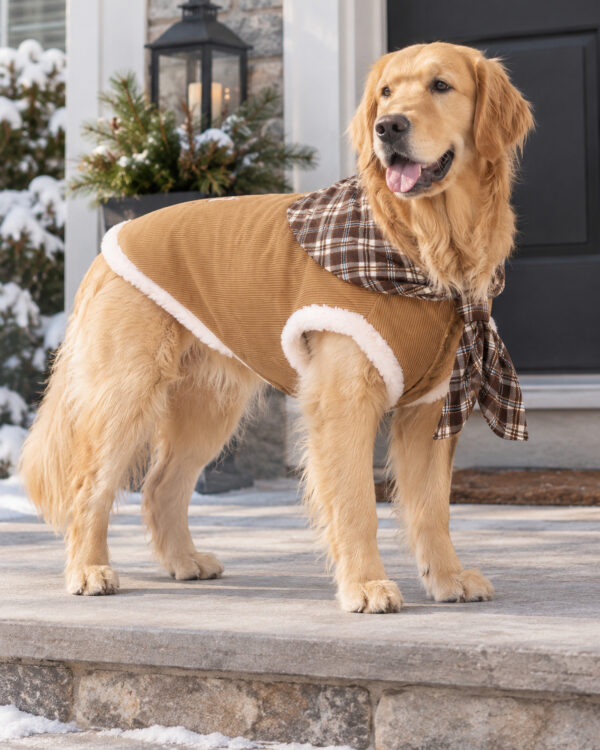 Everyday Plaid-Collar Large-Dog Corduroy Vest
