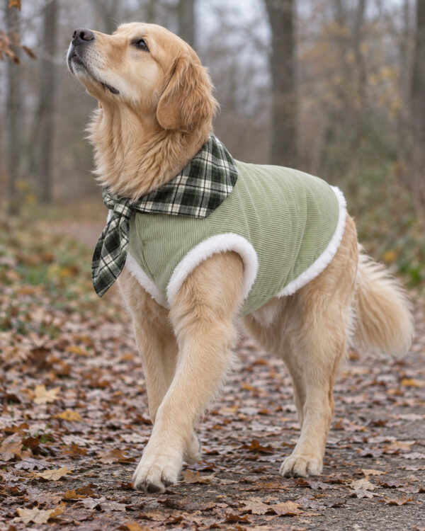Everyday Plaid-Collar Large-Dog Corduroy Vest