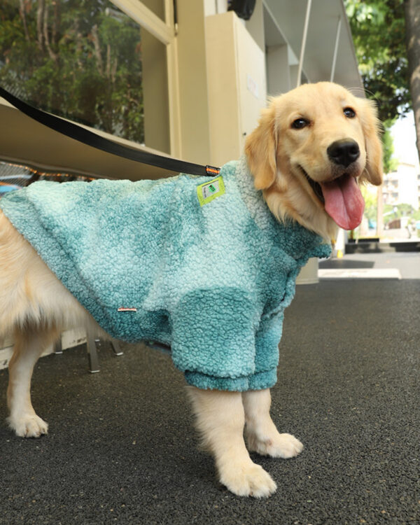 Everyday Leash-Port Large-Dog Sherpa Coat