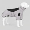 Everyday Reflective-Collar Large-Dog Padded Coat