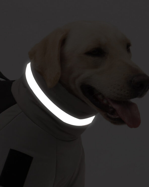 Everyday Reflective-Collar Large-Dog Padded Coat