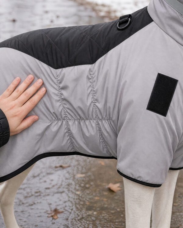 Everyday Reflective-Collar Large-Dog Padded Coat