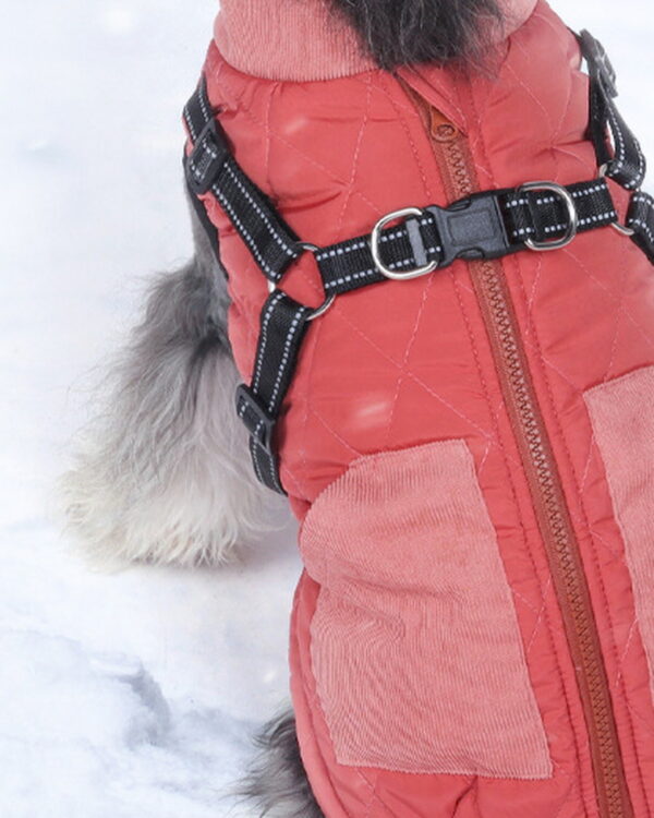 Back of the coral coat on a standing dog: full-length brown zip between two corduroy pockets.