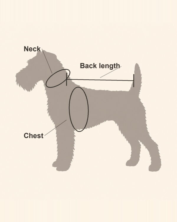 Side-profile diagram showing where to measure a dog's neck, chest and back length for coat sizing.