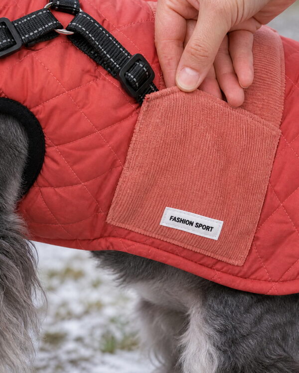 A hand holding open the corduroy pocket on the side of a small dog's coral coat.