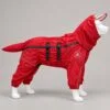 Red four-leg dog rain suit on a white mannequin, side view, hood up with the clear brim and the tail sleeve fitted.