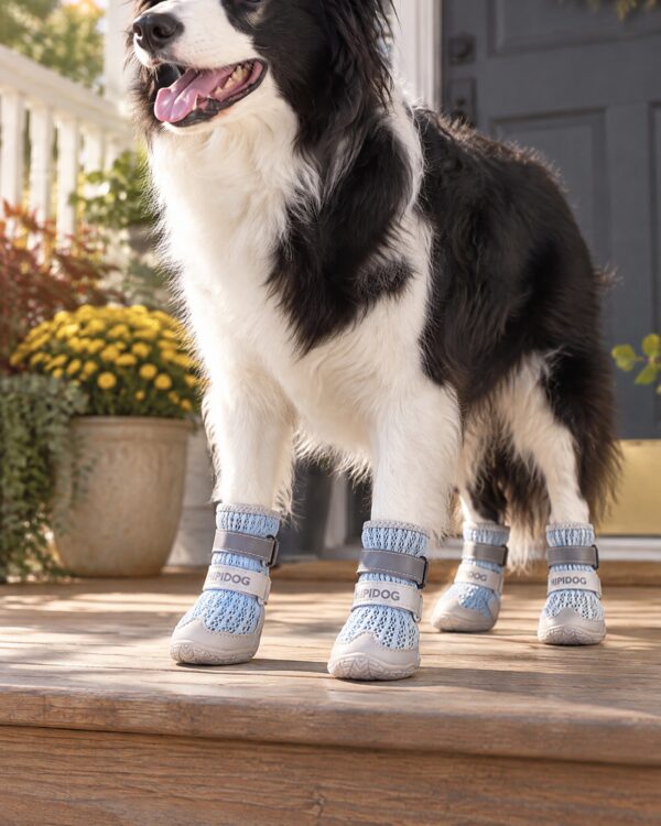 Everyday Two-Strap Mesh Dog Boots